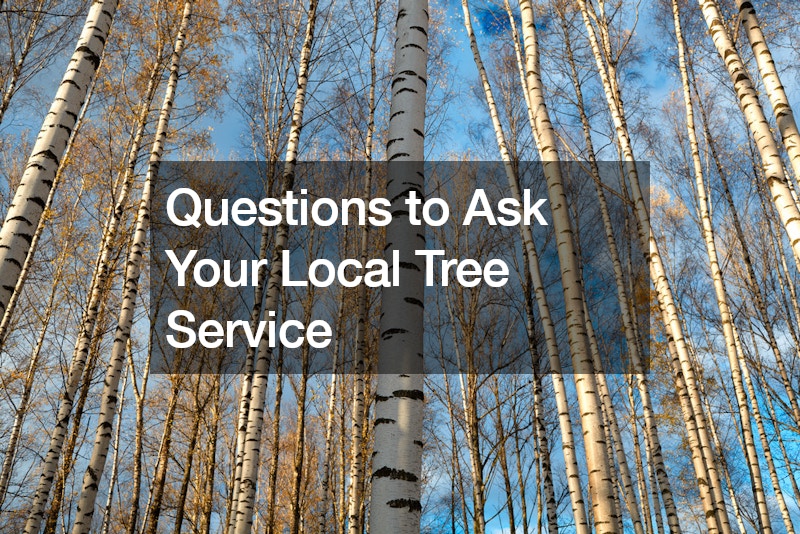 Questions to Ask Your Local Tree Service