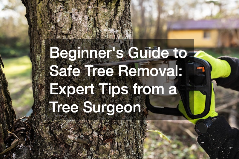 Beginners Guide to Safe Tree Removal  Expert Tips from a Tree Surgeon